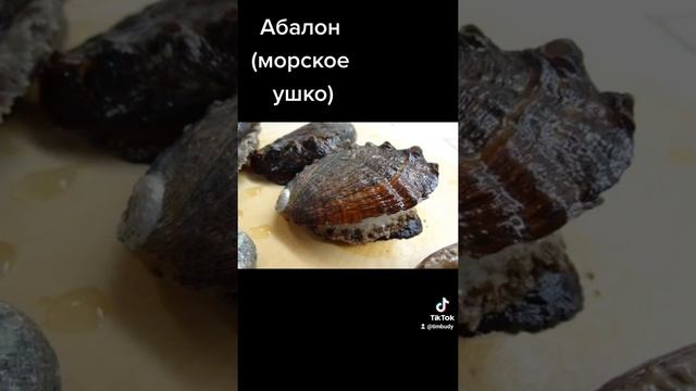 Абалон (морское ушко). Продукты для 100 летия.