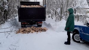 БЕСПЛАТНАЯ машина дров! 5 кубов берёзовых дров с доставкой.