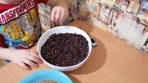 Игры с крупами для мелкой моторики