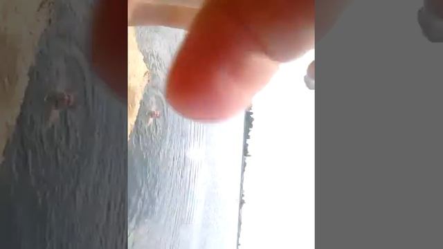 Пацан учиться прыгать щучкой) СМОТРЕТЬ ВСЕМ! смотреть онлайн