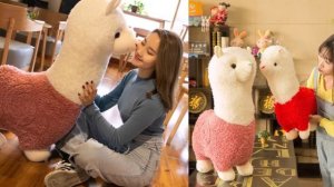 8 Мягкие игрушки с Алиэкспресс Best Soft toys Aliexpress Plush toys Крутые игрушки из Китая 2022 To