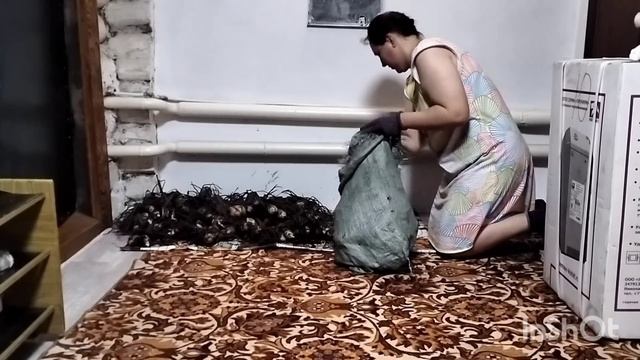Семья из Казахстана.Замучила мужа. Наконец-то расправилась.