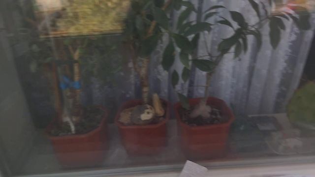 Балкончик по быстрому из вагонки+ пол смотреть онлайн