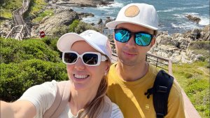 КЕЙПТАУН ЮАР: Мыс Игольный, Херманус и Garden Route. Где посмотреть китов. Лучший маршрут