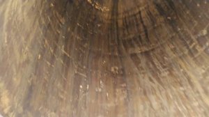 Белый храм Паттайя 2020 Самостоятельно