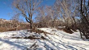 Путешествие по Камчатке 2024 фильм 2