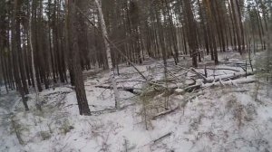 ВСЕ ДРОВА НАВОЗИЛ!!! Крайняя поездка за валежником!!!(ЧАСТЬ 2)
