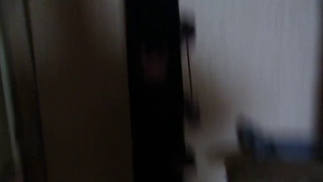 Когтеточка своими руками. Видео от подписчиков