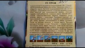 Новичок в моей коллекции - томат Троя F1
