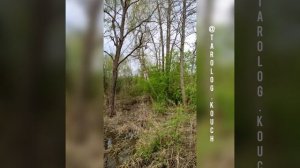 Практика заземления