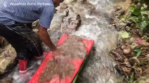 INDONESIA KAYA RAYA.!KAMI MENDAPATKAN HARTA KARUN DI SUNGAI EMAS DI INDONESIA. ILEGAL GROUND SLUICE