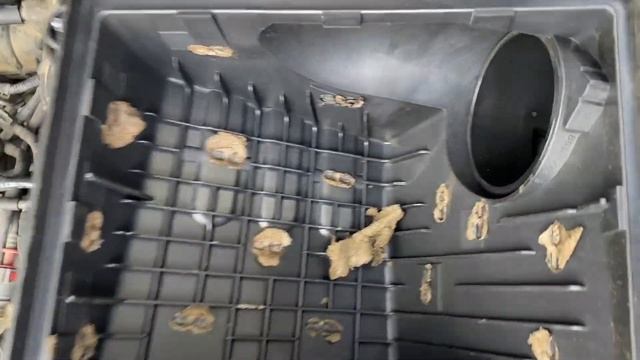 Renault laguna заводится и глохнет смотреть онлайн