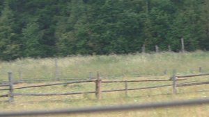 Березовский район, д.Токманы, новая церковь