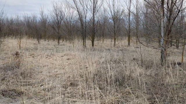 Зарплатное рабство! Или как дать пинка чужому дяде.