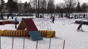 Первоапрельское аджилити, 30.03.13 г., СПб, Пискаревская v12