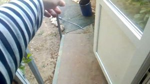 Убийца тли - хозяйственное мыло.