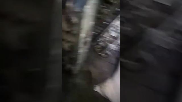 Болезнь ивеко дейли фиат дукато двс софим 2.3 3.0 смотреть онлайн