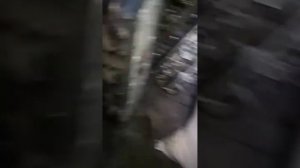 Болезнь ивеко дейли фиат дукато двс софим 2.3 3.0