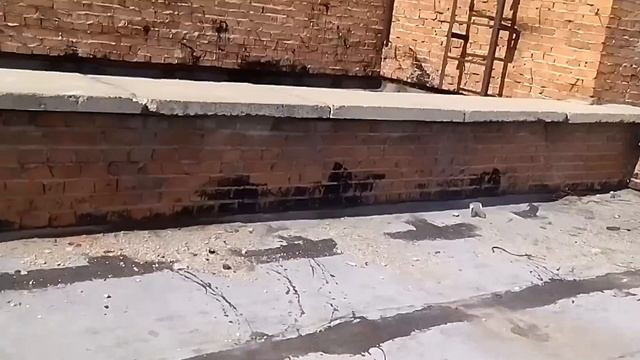 Заброшенный ДК Сибсельмаш в Новосибирске Покрышкина  2