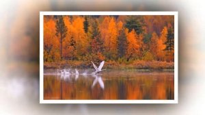 БУНИН ИВАН ЛИСТОПАД