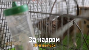 На съёмках восемнадцатого выпуска киножурнала «ВСЛУХ!»