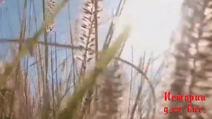 Жена перебрала и отказала, теща ее заменила.