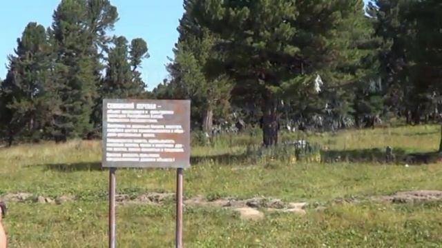 Алтай. Семинский перевал