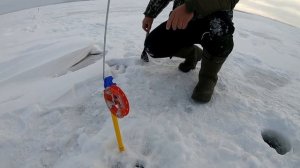 Рыбалка на Имантау под новый год. Взяли трофейную щуку на жерлицу. Багор спас.