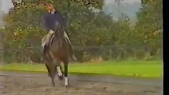 Выездка молодой спортивной лошади. Часть1. смотреть онлайн