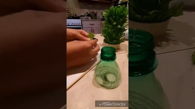 Выпуск 8 Как сделать кактус своими руками