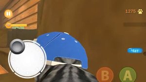 некогда не играй в kitten cat simulator в 3:00 часа ночи