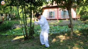 How to do Taoist spinal cord breathing? Spinal cord breathing with Master Mantak Chia