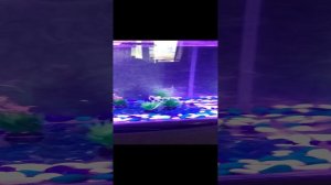 Аквариум 30 литров с оборудованием