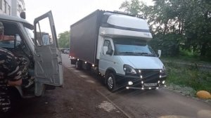 Газель