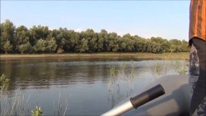 Воблер Kosadaka Cord