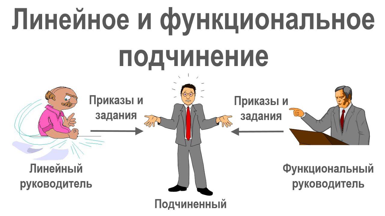 Описание линейного и функционального подчинения организационных единиц в системе Бизнес-инженер