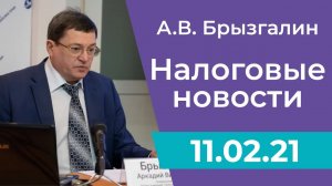 Налоговые новости от Аркадия Брызгалина 11 февраля 2021 г