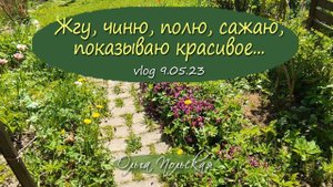 Жгу, чиню, полю, сажаю, показываю красивое... |  Vlog Дача как есть. Хроника 17.05.2023