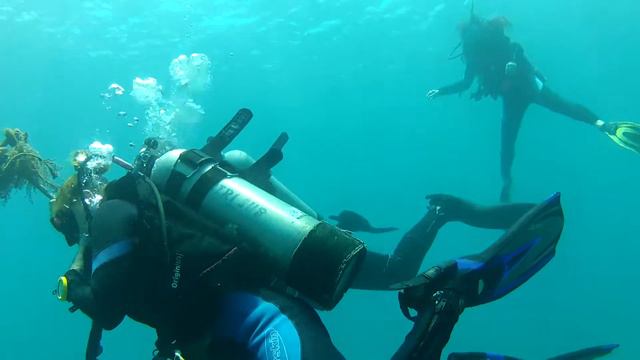 Остановка безопасности смотреть онлайн