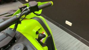 Квадроцикл Bison 330L