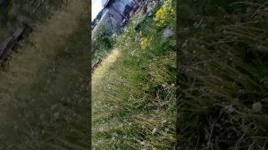 заброшенная баня брат и сестра