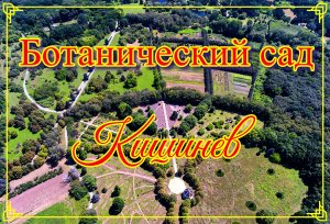 Ботанический сад. Кишинев.