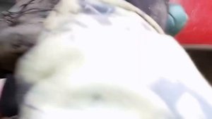 Замена сайлентблоков задней балки рено Меган 2
