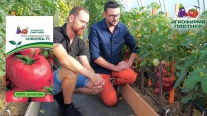 ШИКАРНЫЙ БИФ ТОМАТ СКВОРЕЦ