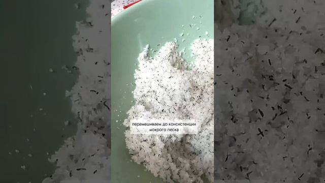 Соленая форель