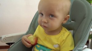 Стул для кормления TOMIX "Piccolo"