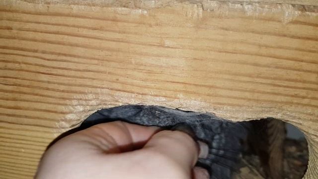 Как Может Измениться Ангора! У Морфуши появились Пейсики!