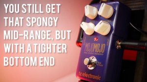 TC Mojo Mojo Vs Mojo Mojo Paul Gilbert