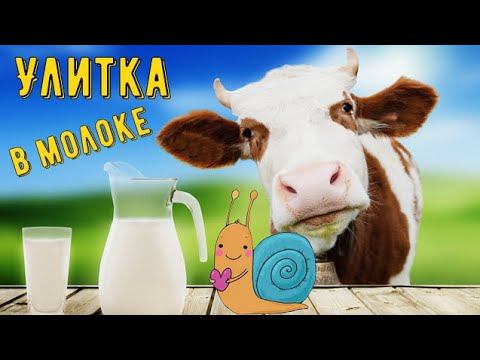Улитка в молоке, напоили улитку молоком, а она счастливая.