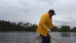 Daiwa Shore Line Shiner